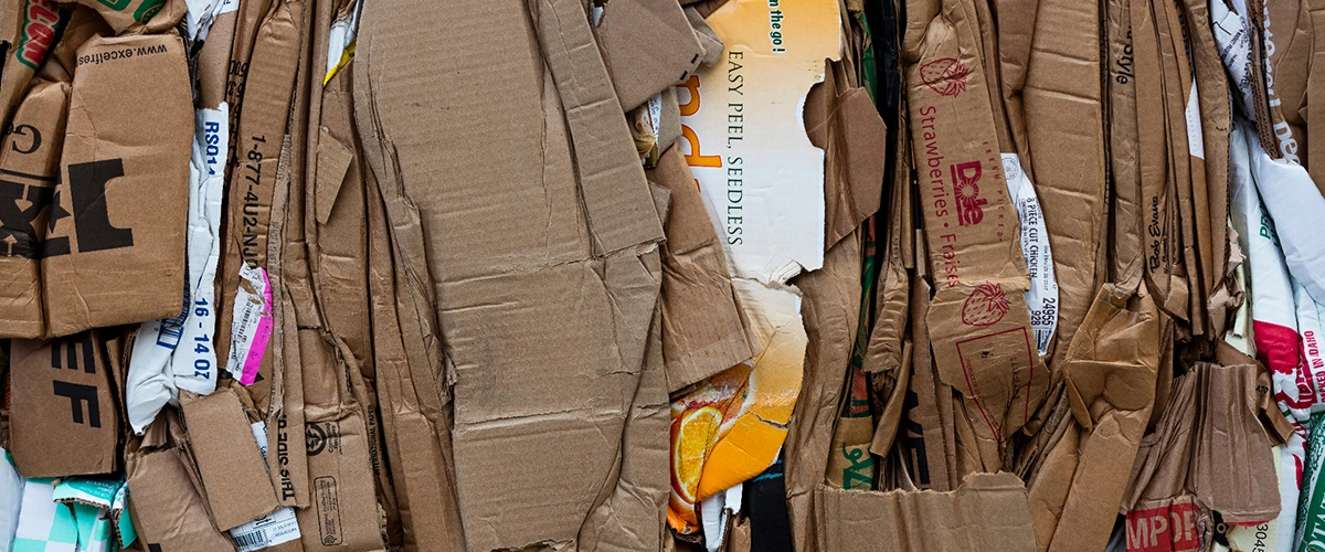 Cardboard Scrap